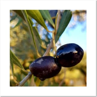 Olives Posters and Art